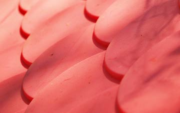 Auchtubh plastic roof costs