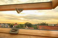 rated Auchtubh roof window companies